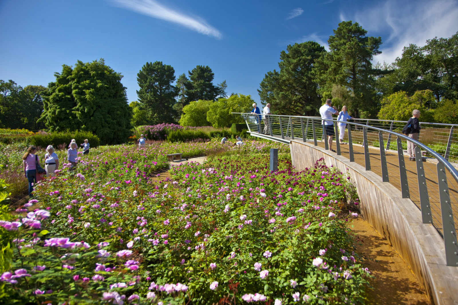 Jardim de Rosas do Jardim Savill