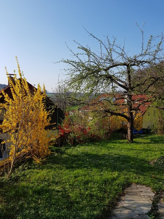 Il nostro giardino intorno alla casa - seduti all'ombra