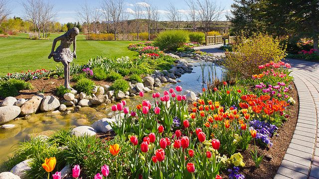 Ashton Garden's spring tulip festival