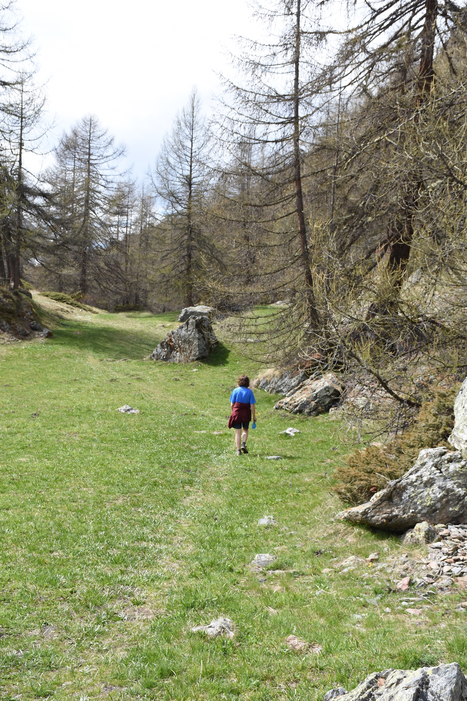 Village alpin traditionnel.