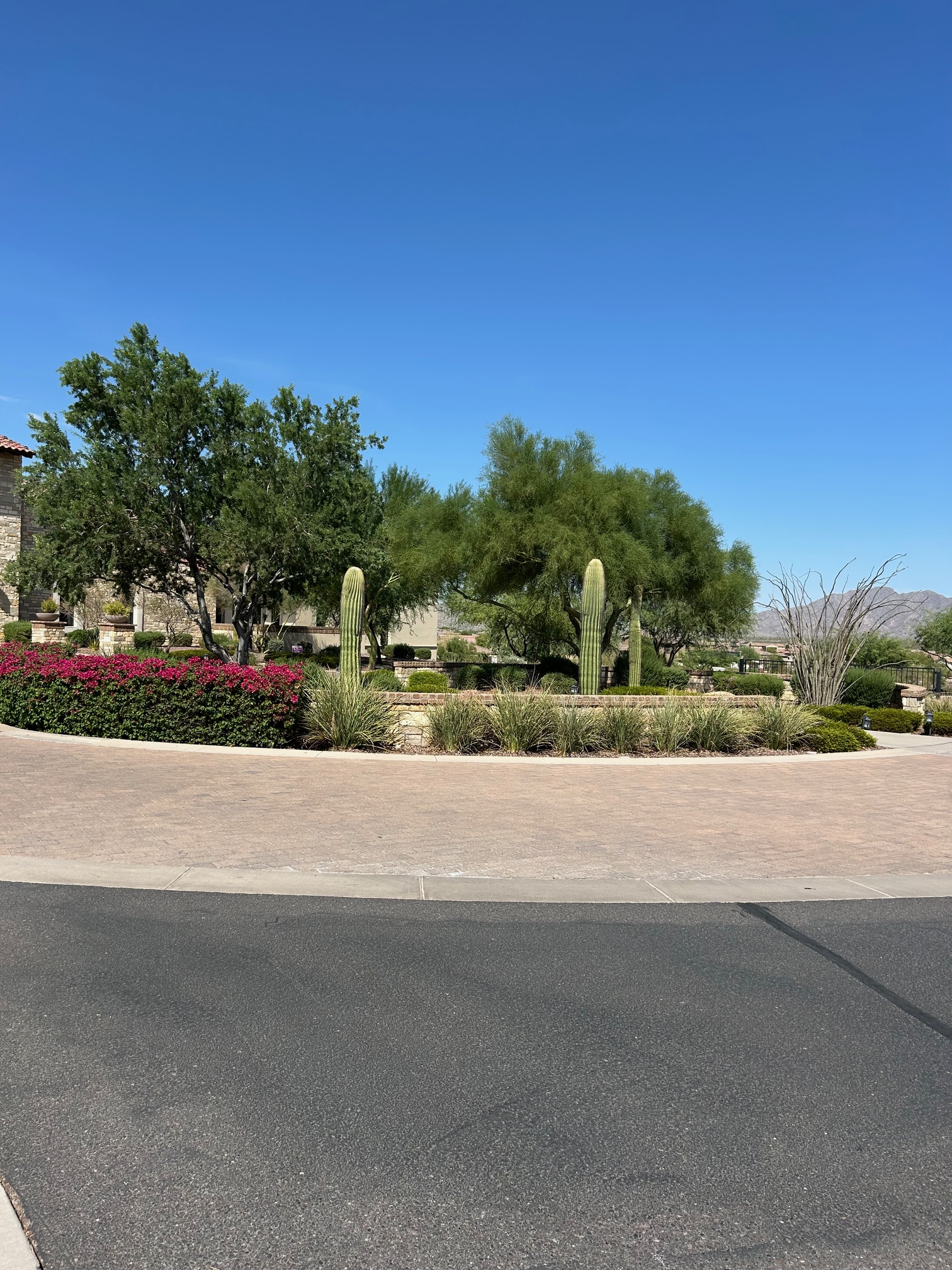 Comunidad bellamente ajardinada con plantas del desierto, cactus y vistas a la montaña