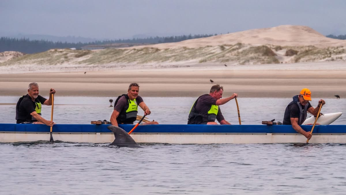 Mike accompanied by spinner dolphins while training for Waka Ama.