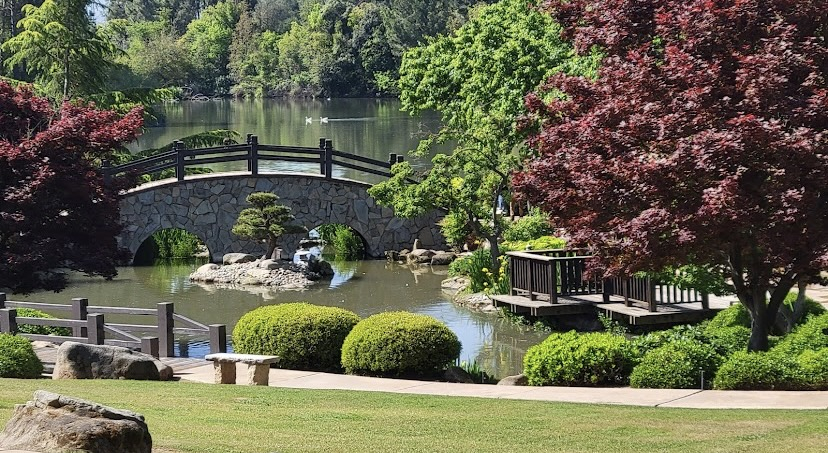 O Shinzen Gardens está localizado no Woodward Park, no norte de Fresno. Uma bela área com uma impres ...
