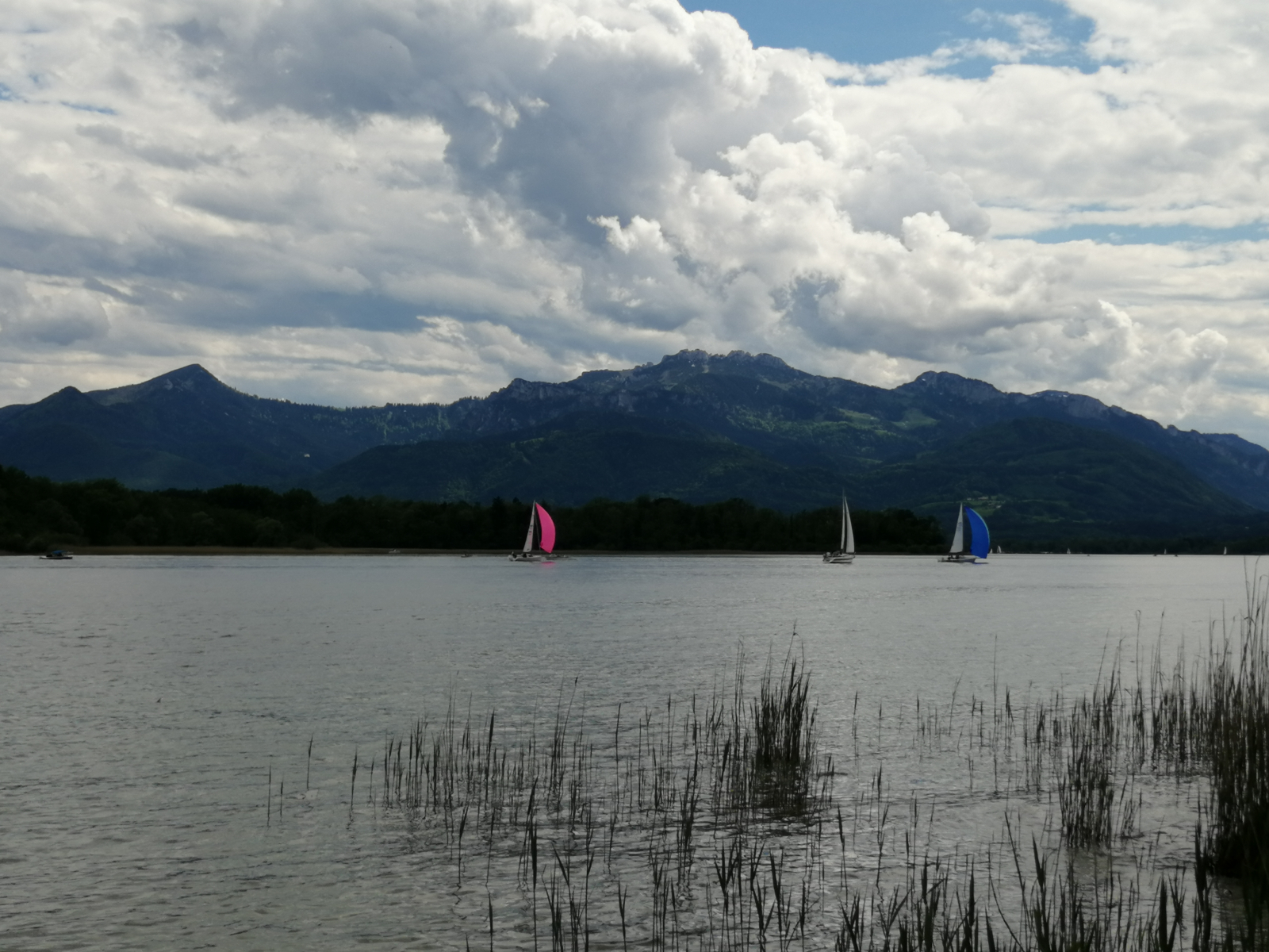 Zeilen