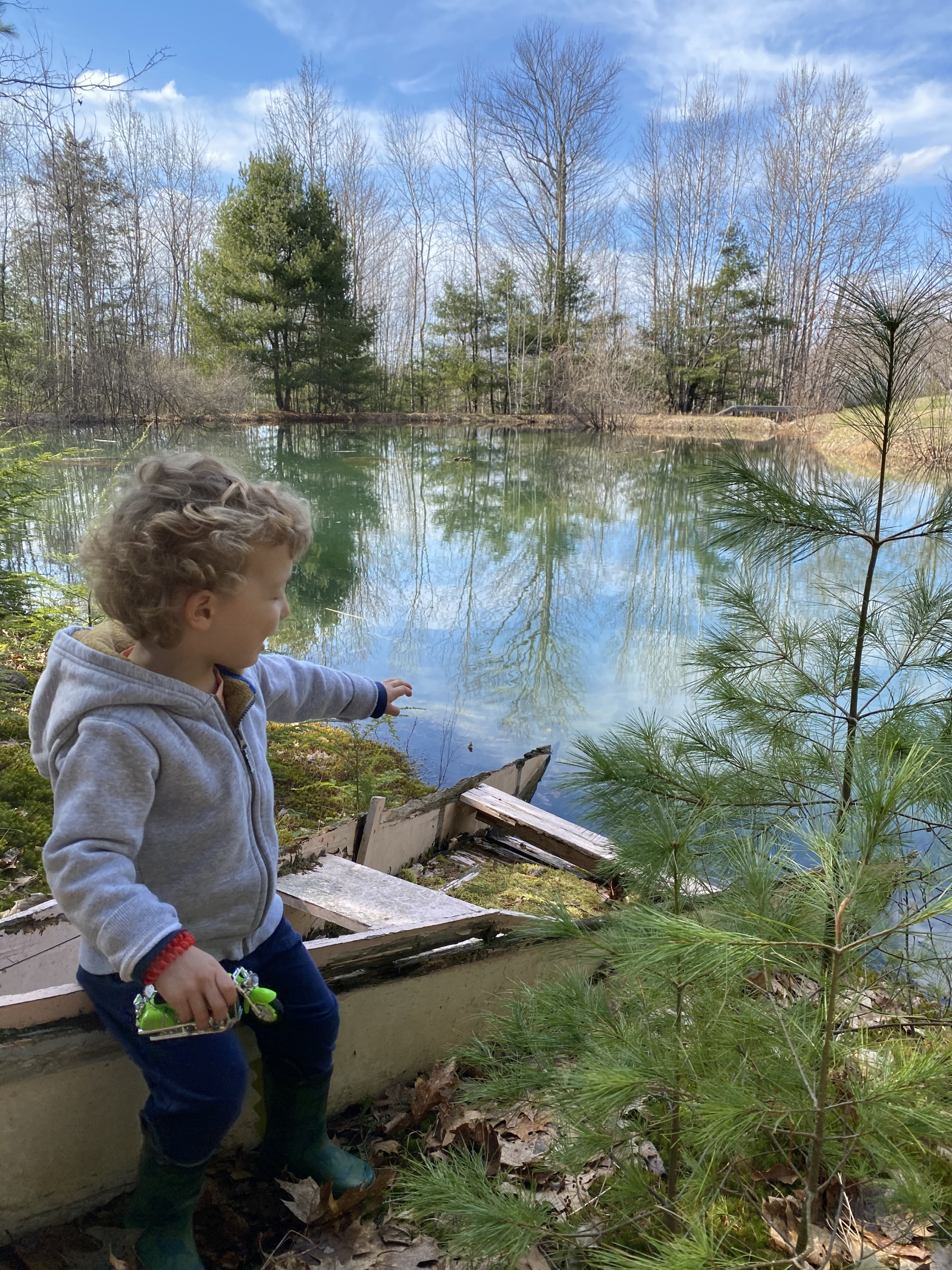 Nosso lago fica muito cheio na primavera (esta foto foi em abril) e muito baixo no outono, e não imp ...
