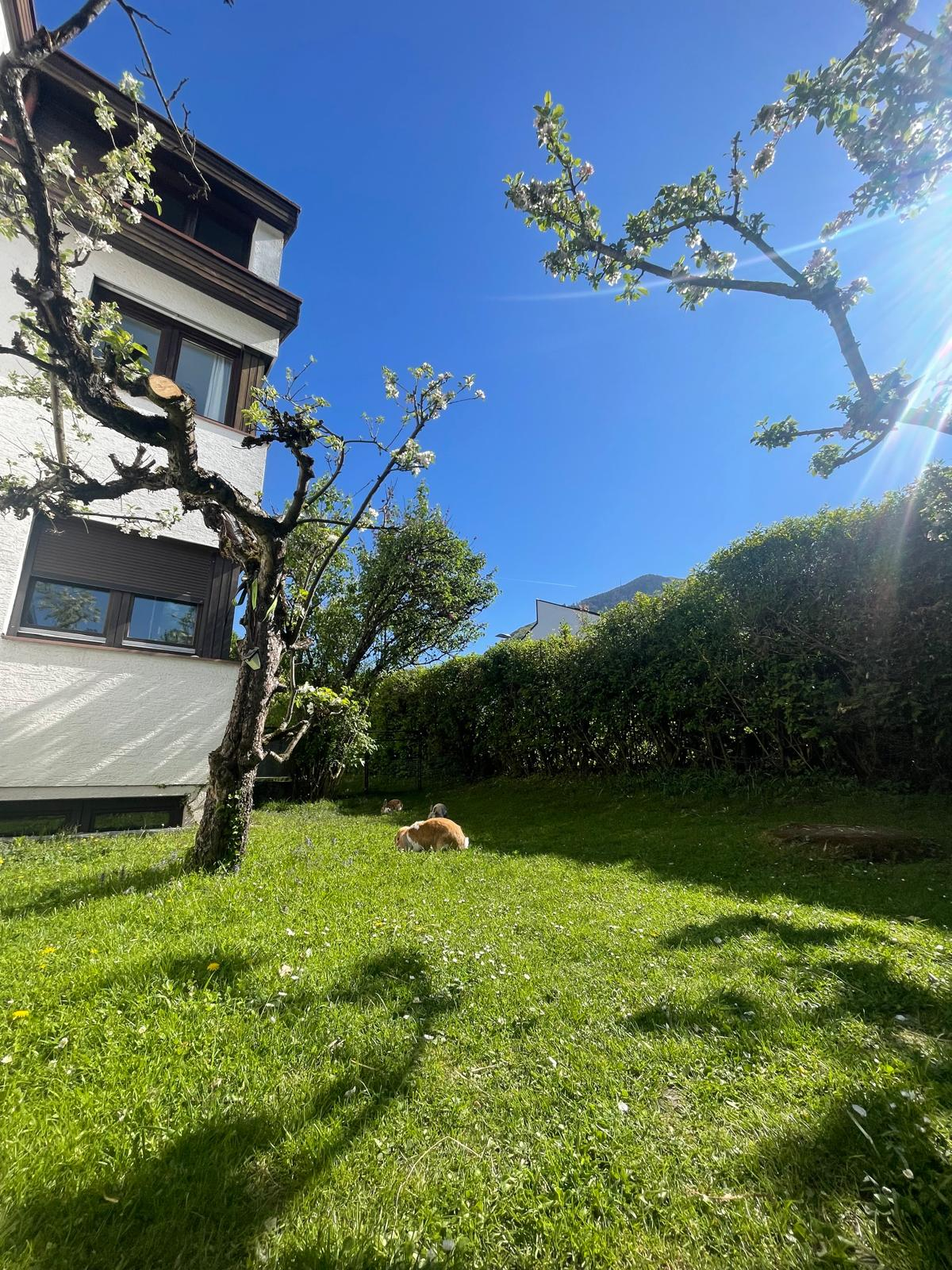 Apartamento familiar tranquilo com terraço e jardim, a minutos da Cidade Velha de Salzburgo