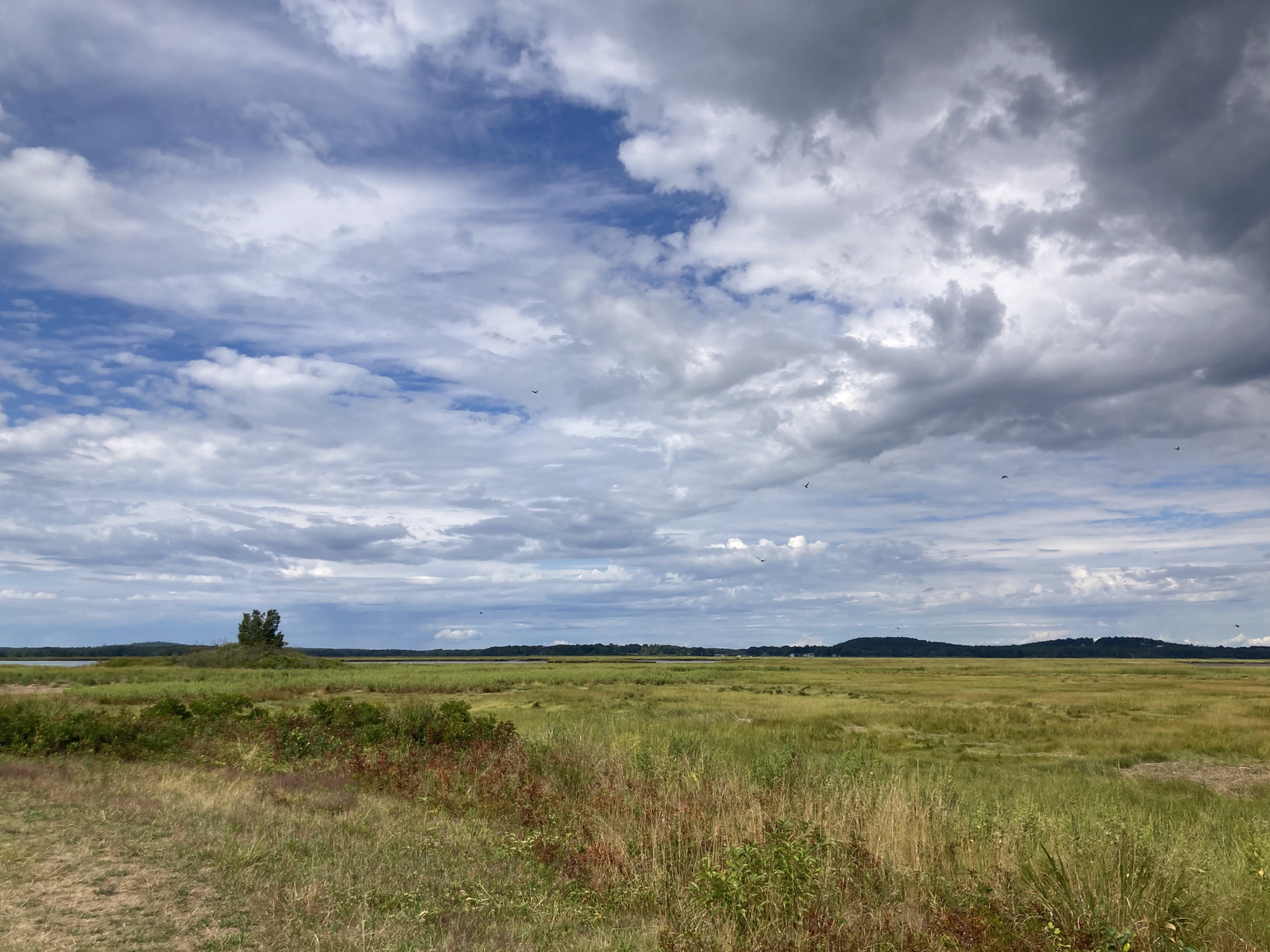 Paisaje favorito de marismas en Ipswich
