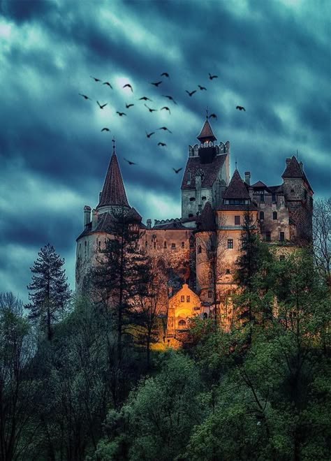 Dracula's Castle