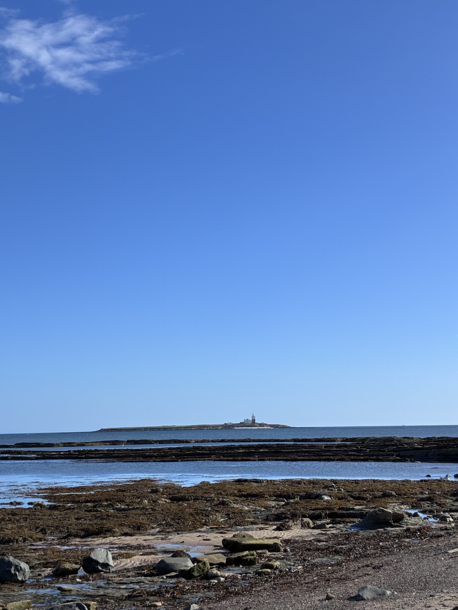 Morning walk on the beach, looking out to Coquet Island