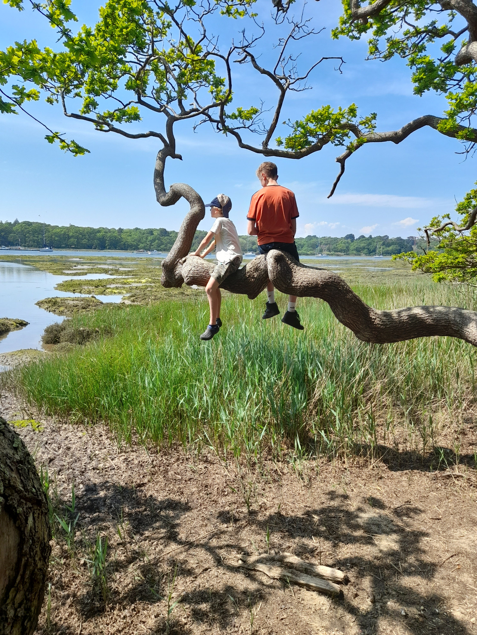 Arne nature reserve