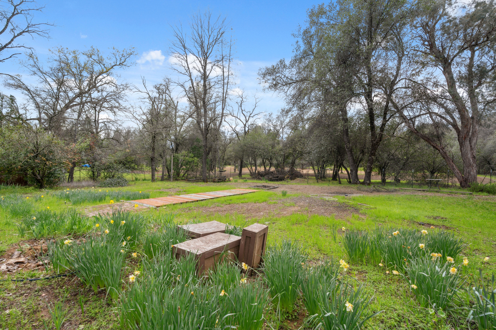 Ampio cortile recintato con ponte, patio, amaca, altalena e cupola per arrampicarsi.