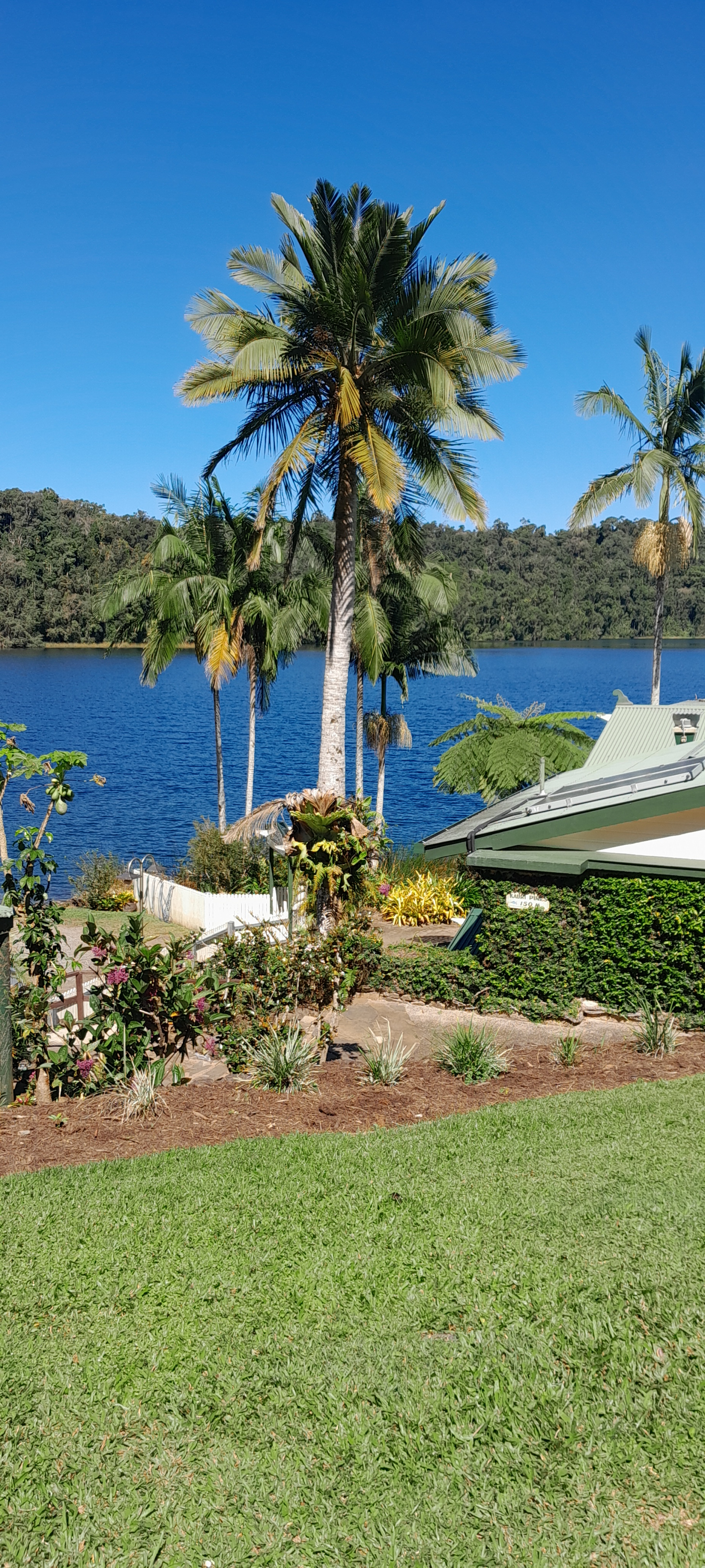 Lake Barrine Tea House