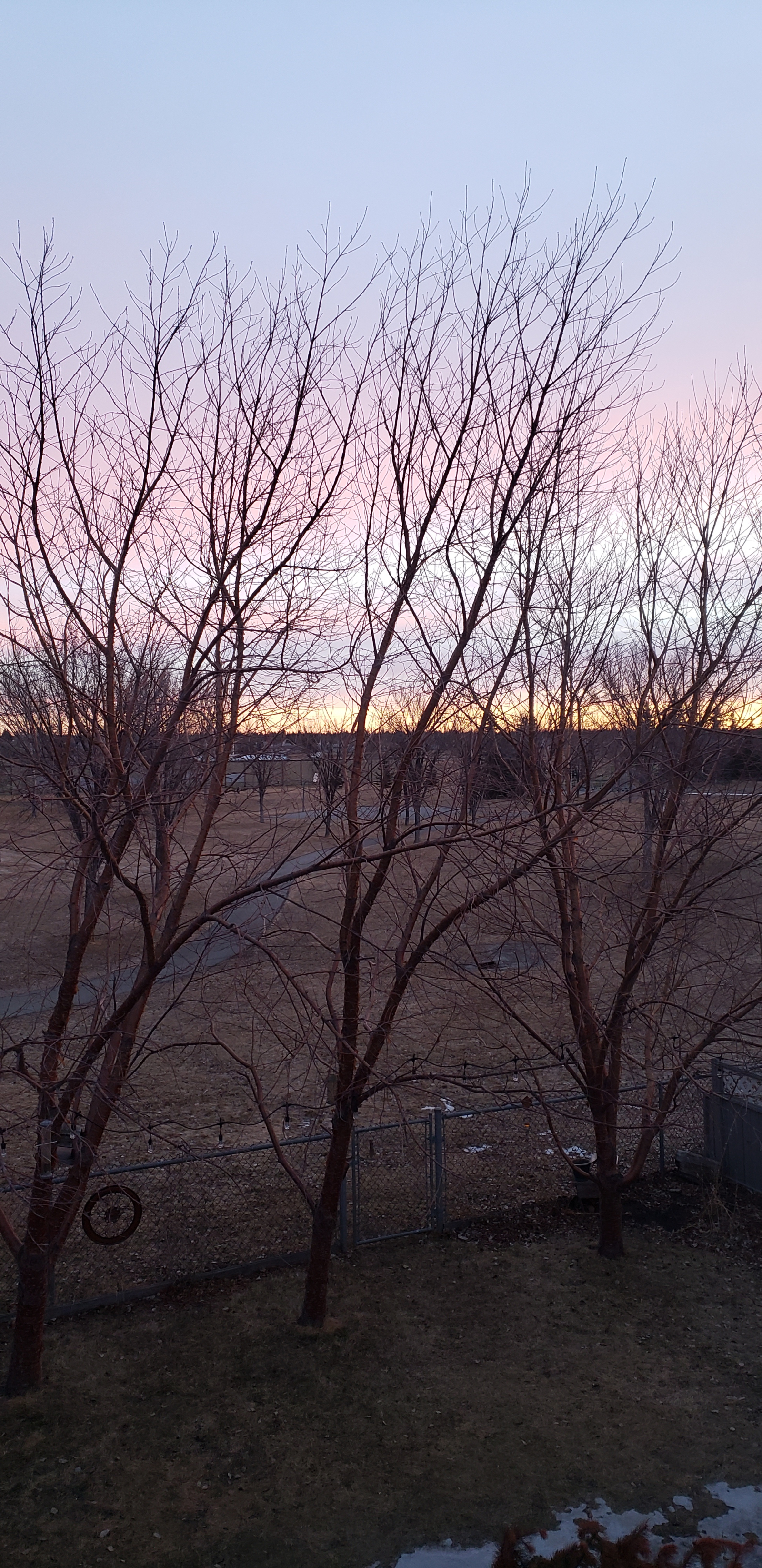 Autumn sun set in the back yard.