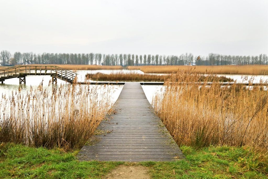El parque recreativo Rijkerswoerdse Plassen (15 minutos en bicicleta) ofrece muchas oportunidades pa ...