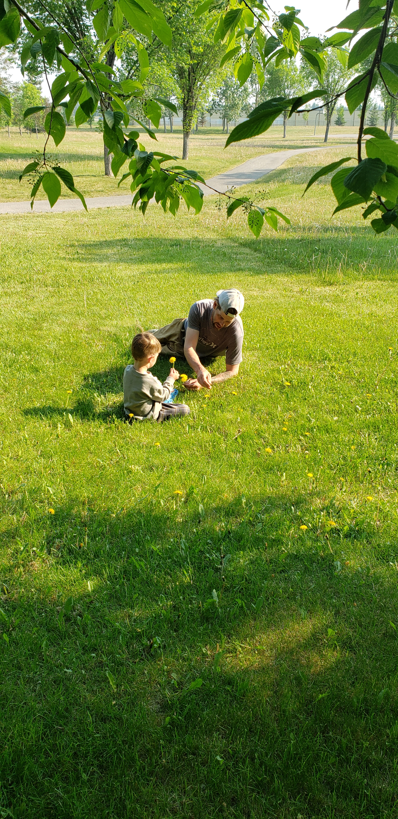 Picking dandelions in the green space behind our house