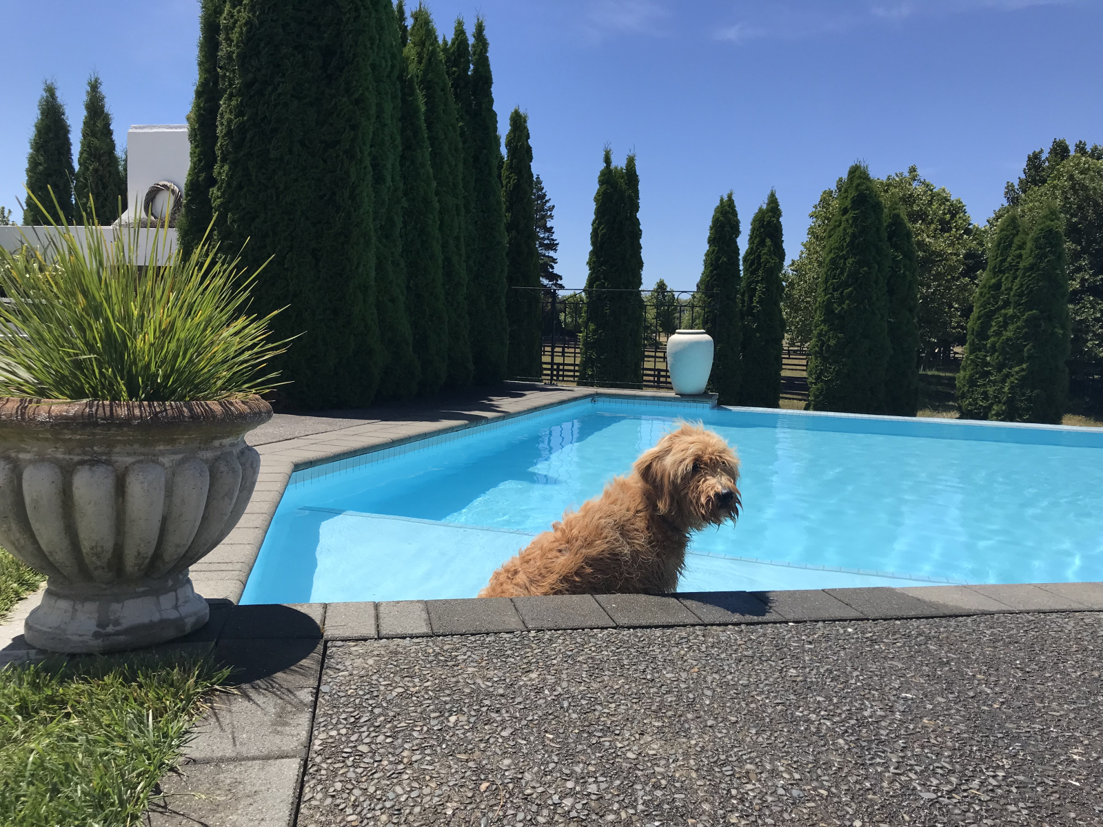 Spacious home on a lifestyle property very close to our cosmopolitan village