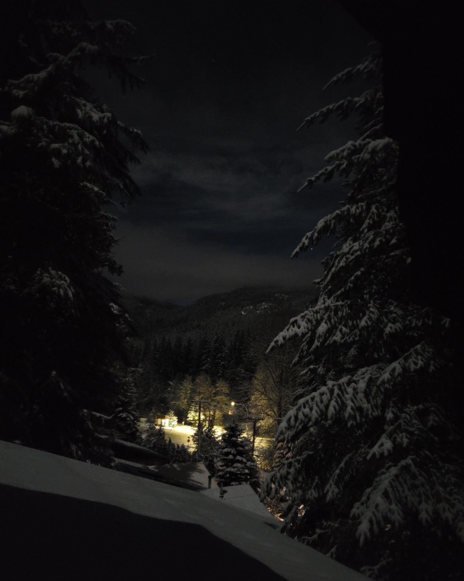 Beautiful Whistler Home
