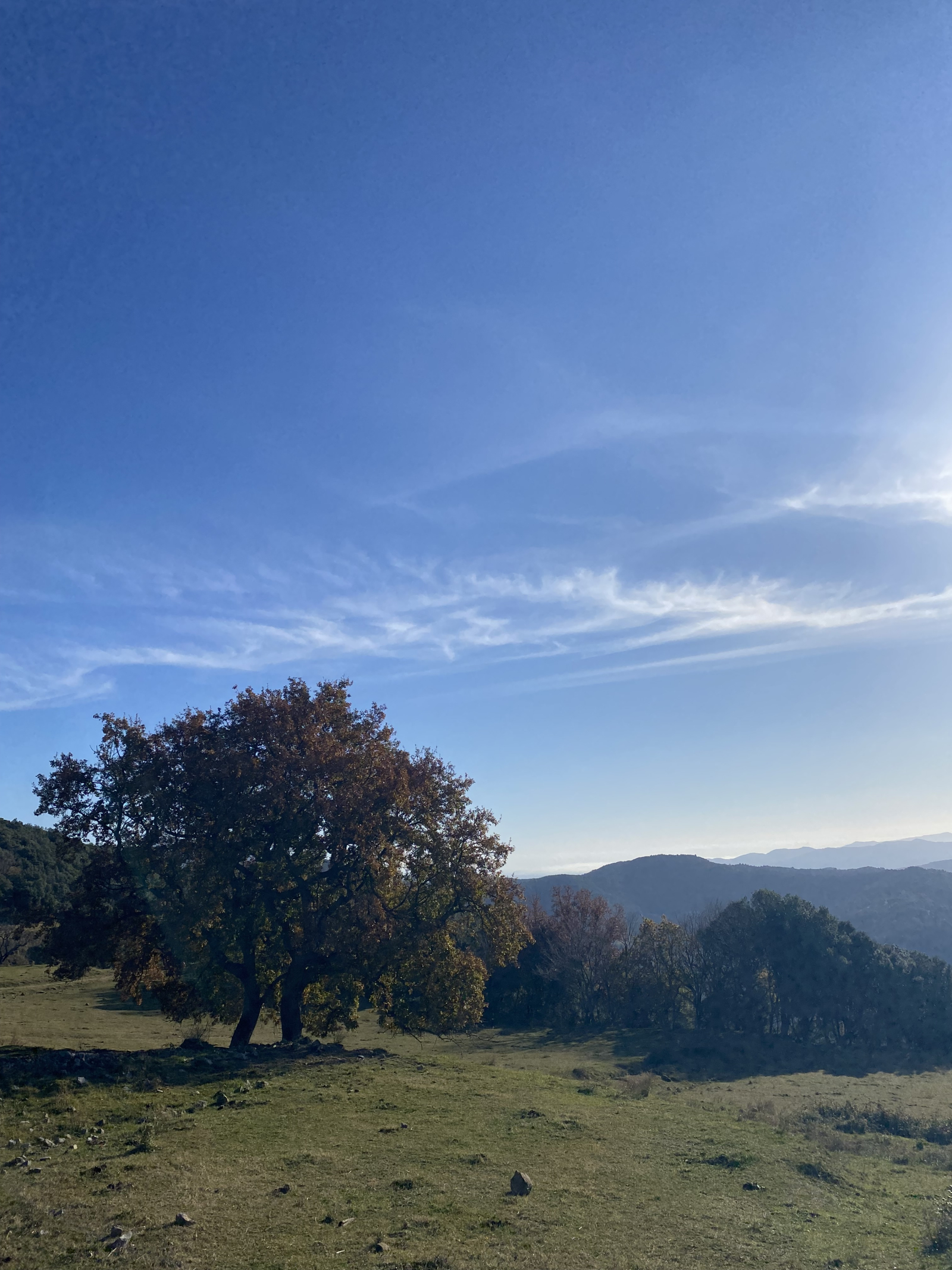 Cataluña, a medio camino del volcán, con una vista preciosa de Olot y sus colinas circundantes.