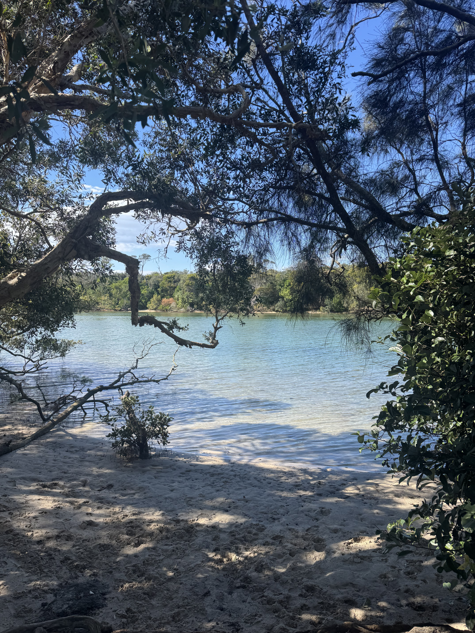 Strand, Bach, Pool, Berge – Im Norden von NSW, Australien, eine große Auswahl