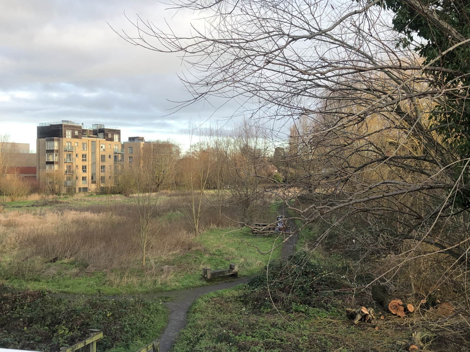 Stadthaus am Fluss bei Feuchtgebieten und Bootshäusern – malerisches Cambridge