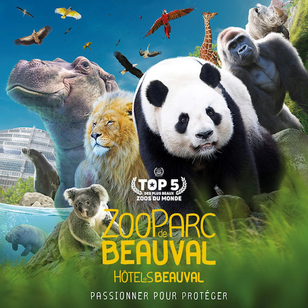 Casa grande perto do aeroporto Disney, Paris - procurando para 27 de agosto