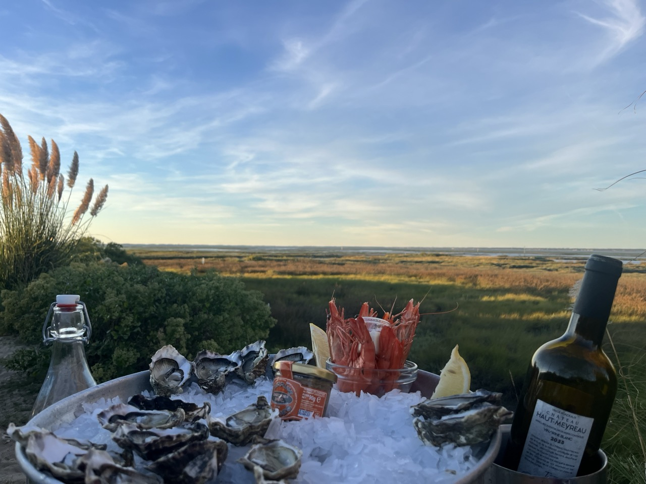 Unique: eating oysters at the Jaud hut, in Gujan Mestras (40 min by car)