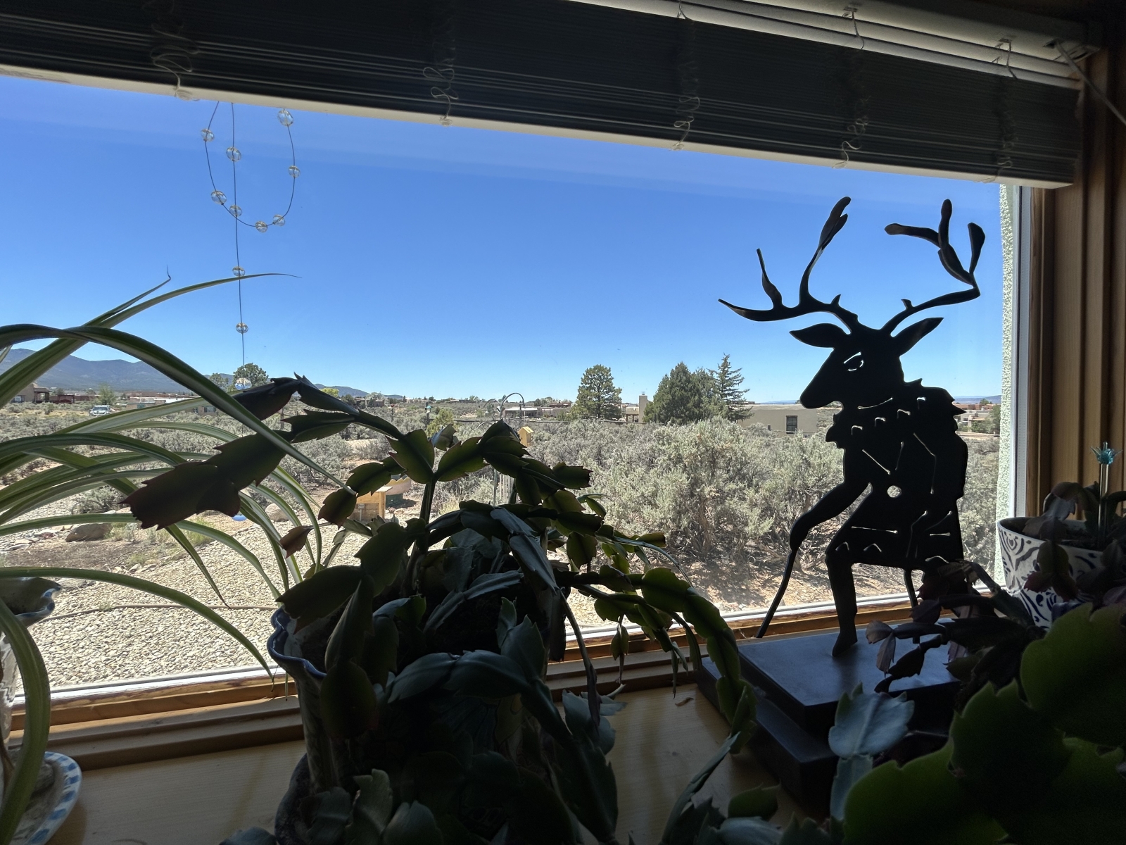 Taos !   Disponibilité automne et hiver dans les Montagnes Rocheuses fraîches.   Globe ou non-simultané, ou Pluton !