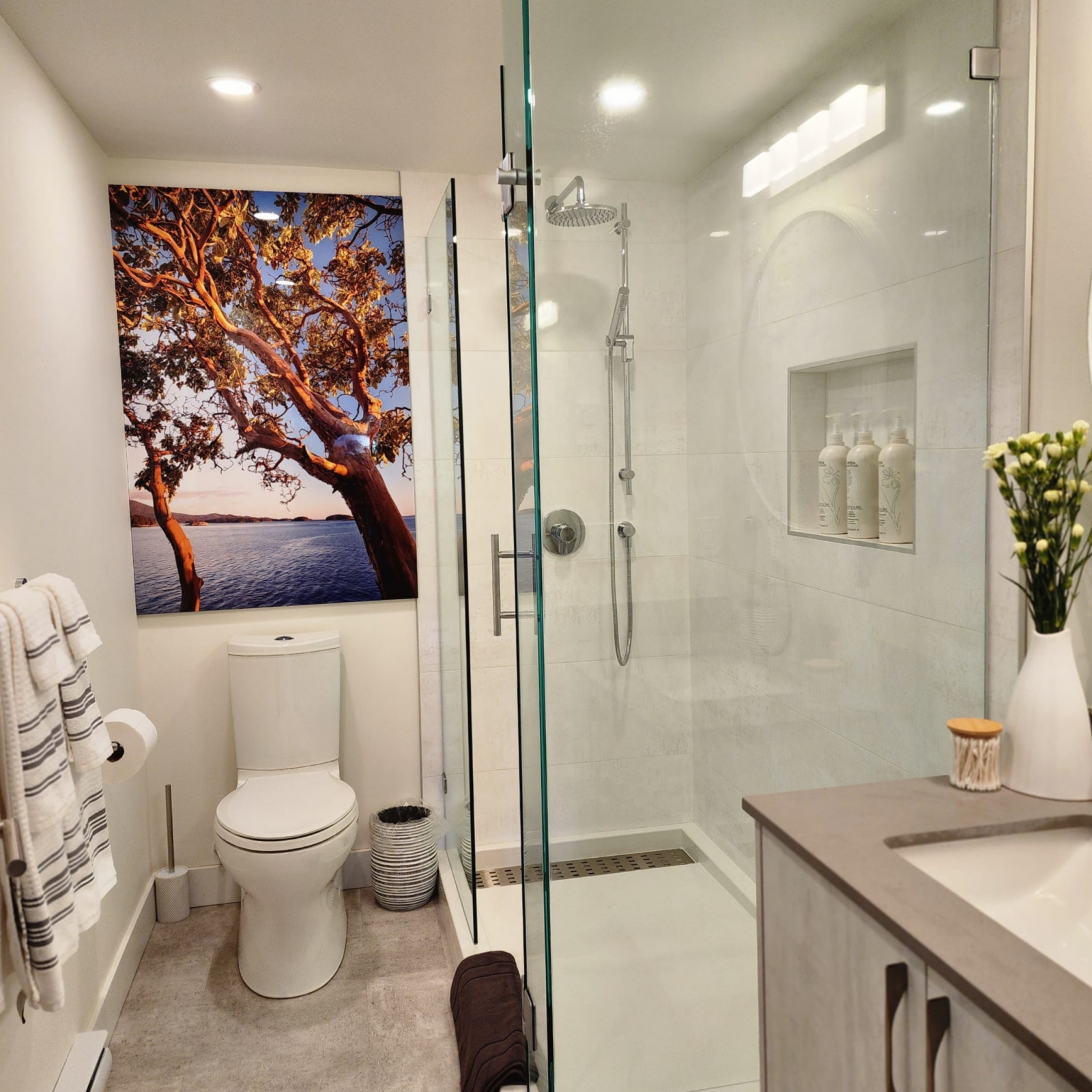 Les arbousiers sur cette photo sont à quelques pas de la propriété.