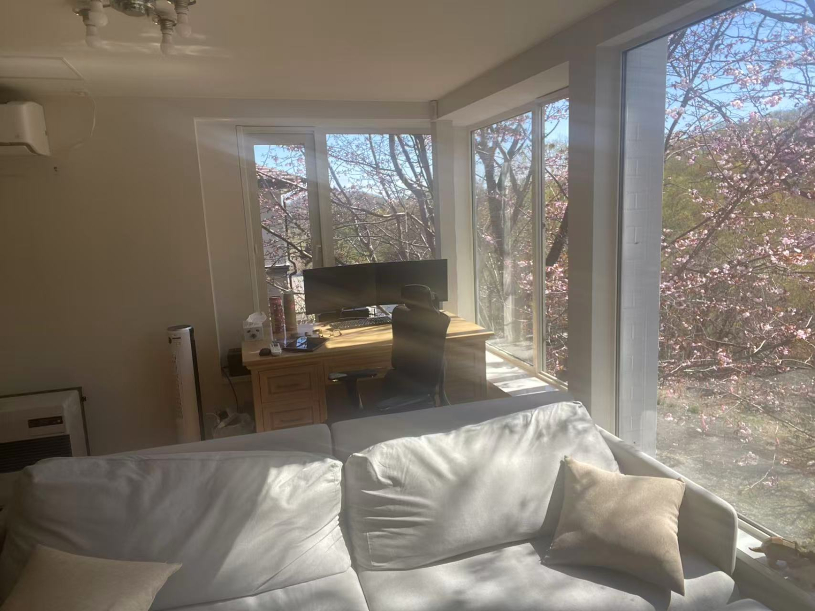 Newly Renovated House with a View in Sapporo