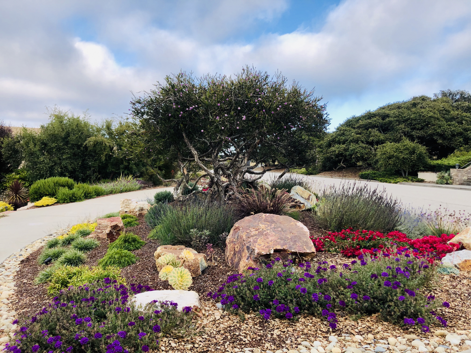 Our front landscaping around the circular driveway...