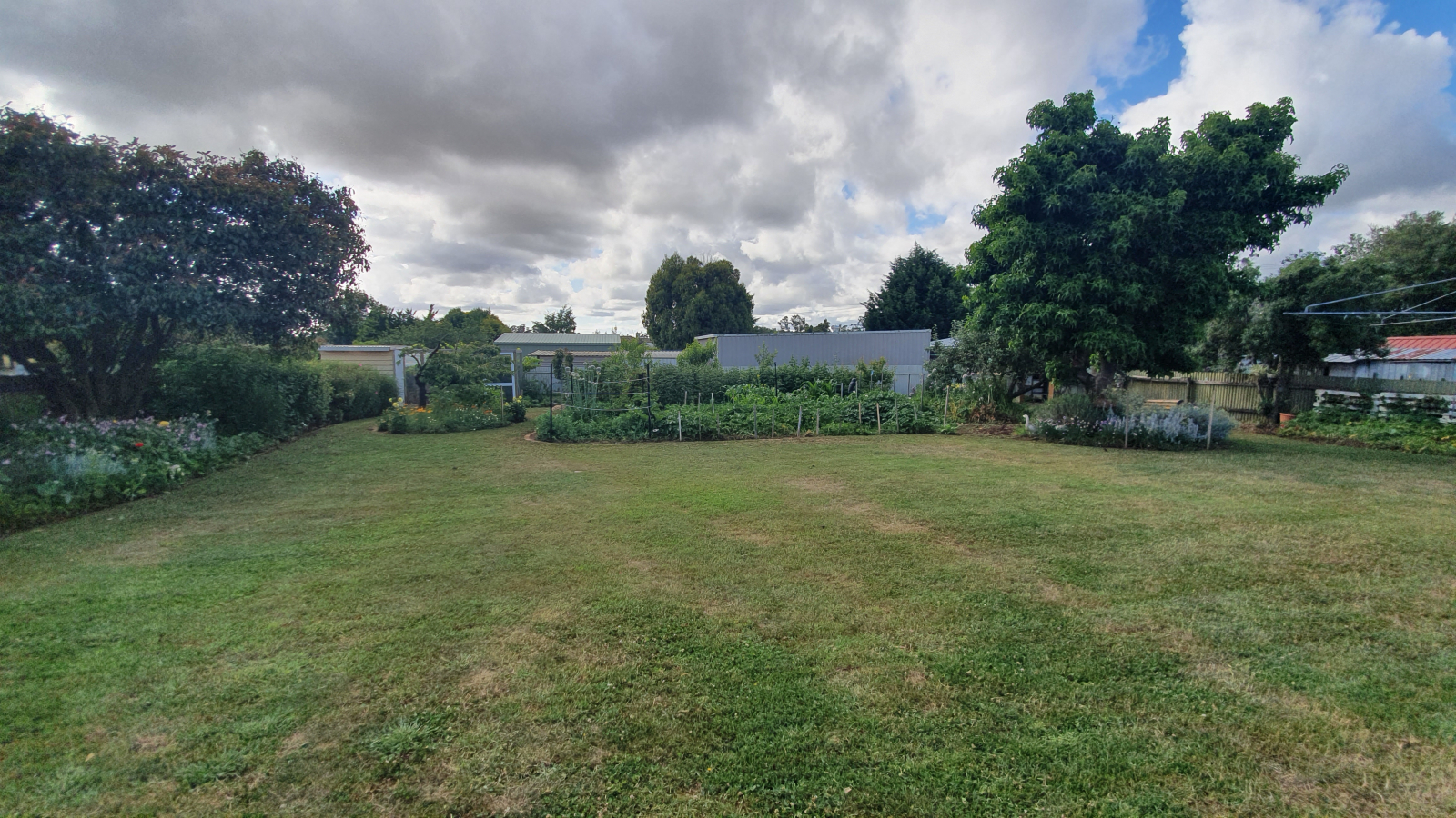 Cour arrière entièrement clôturée avec arbres fruitiers