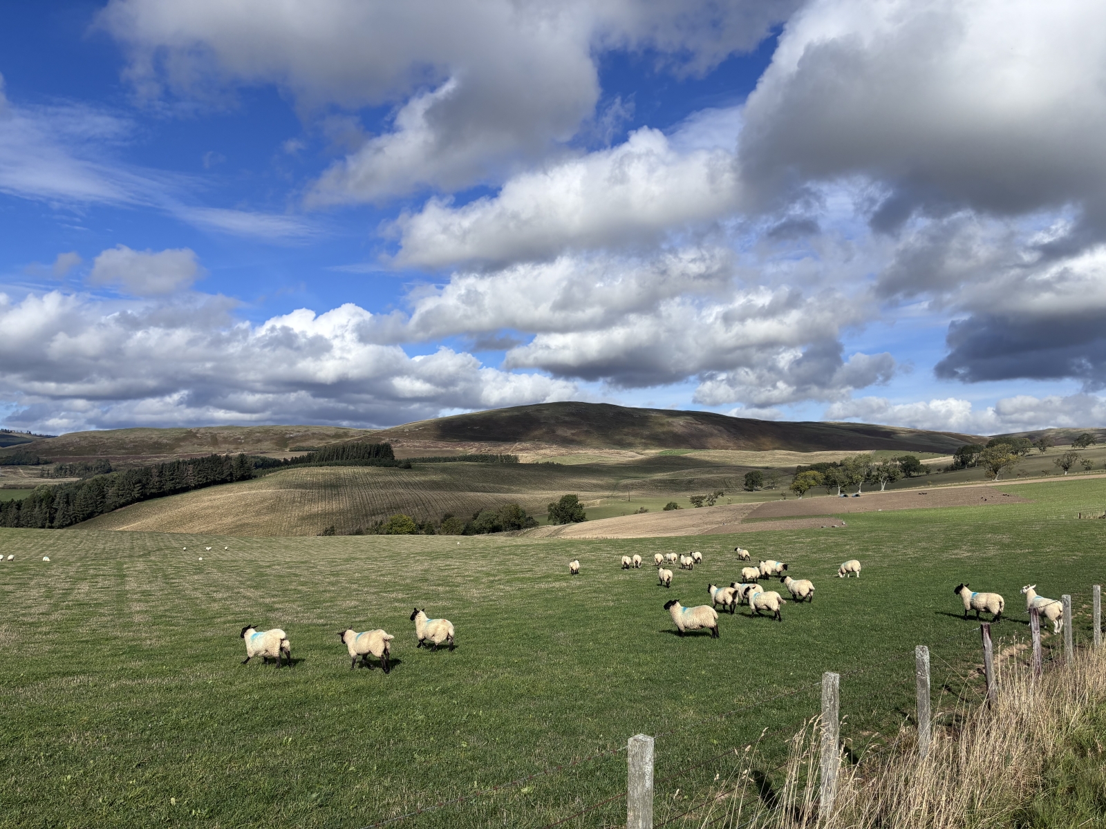 The countryside around the Cheviots