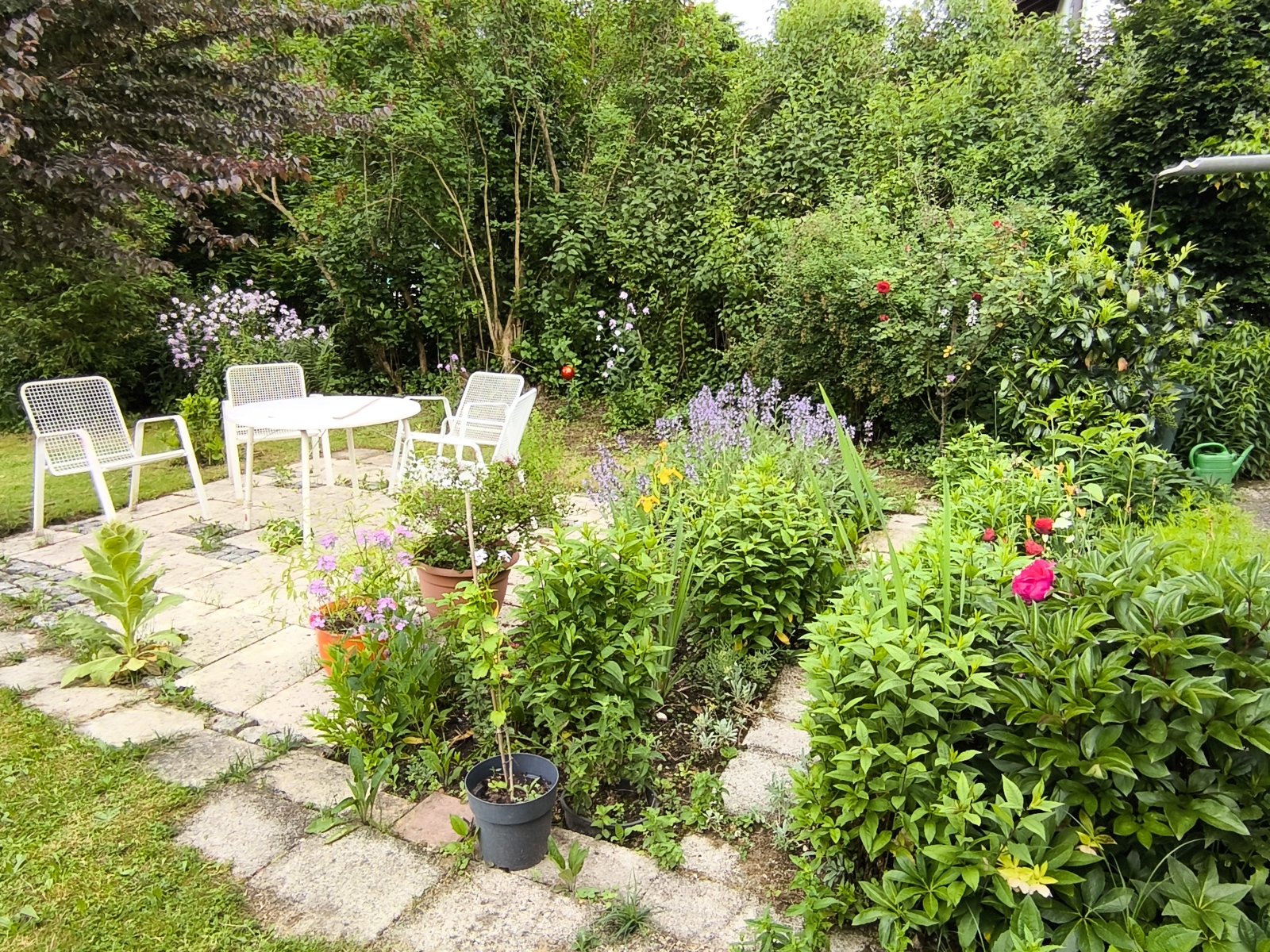 Terras