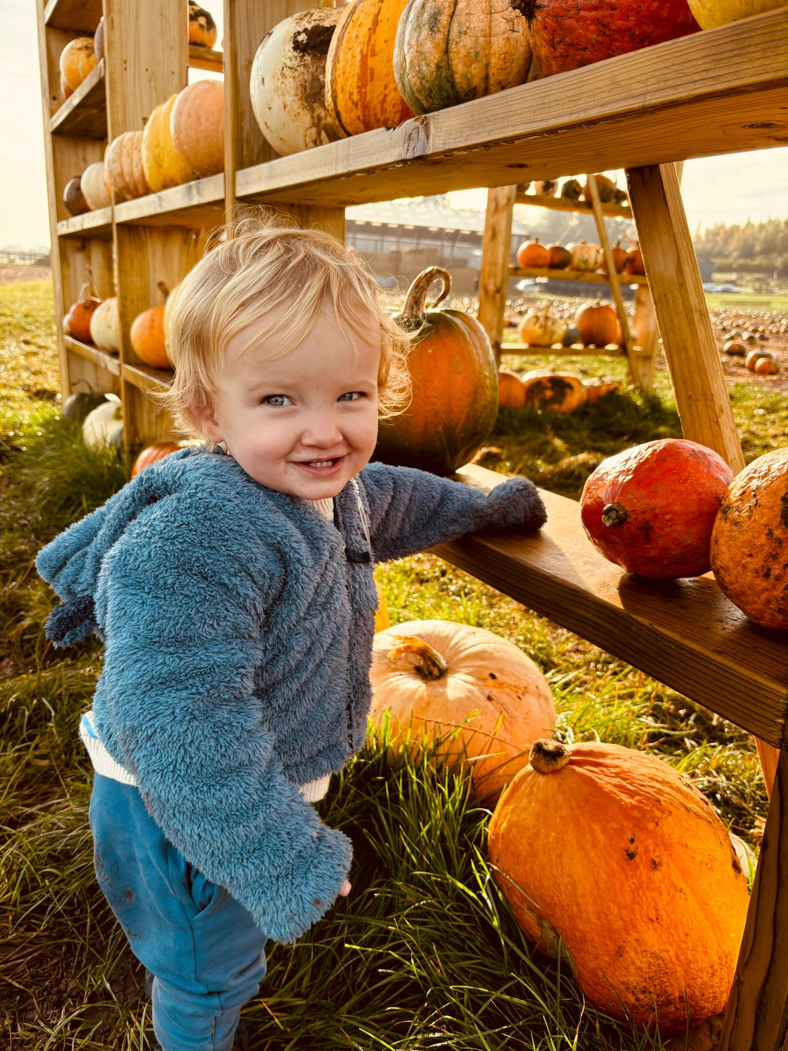 Der Herbst ist hier meine Lieblingszeit - wir lieben es, Kürbis zu pflücken