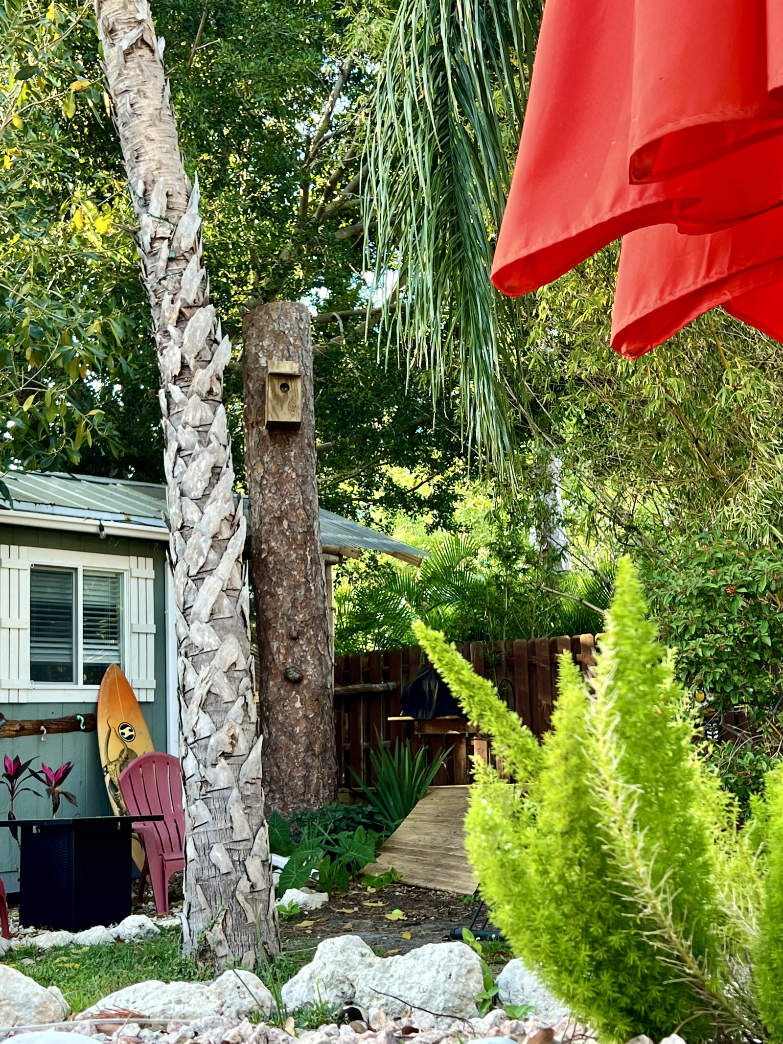 You can watch the owls from the heated pool
