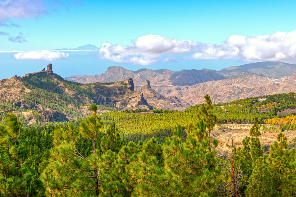 Gran Canaria, centro dell'isola.