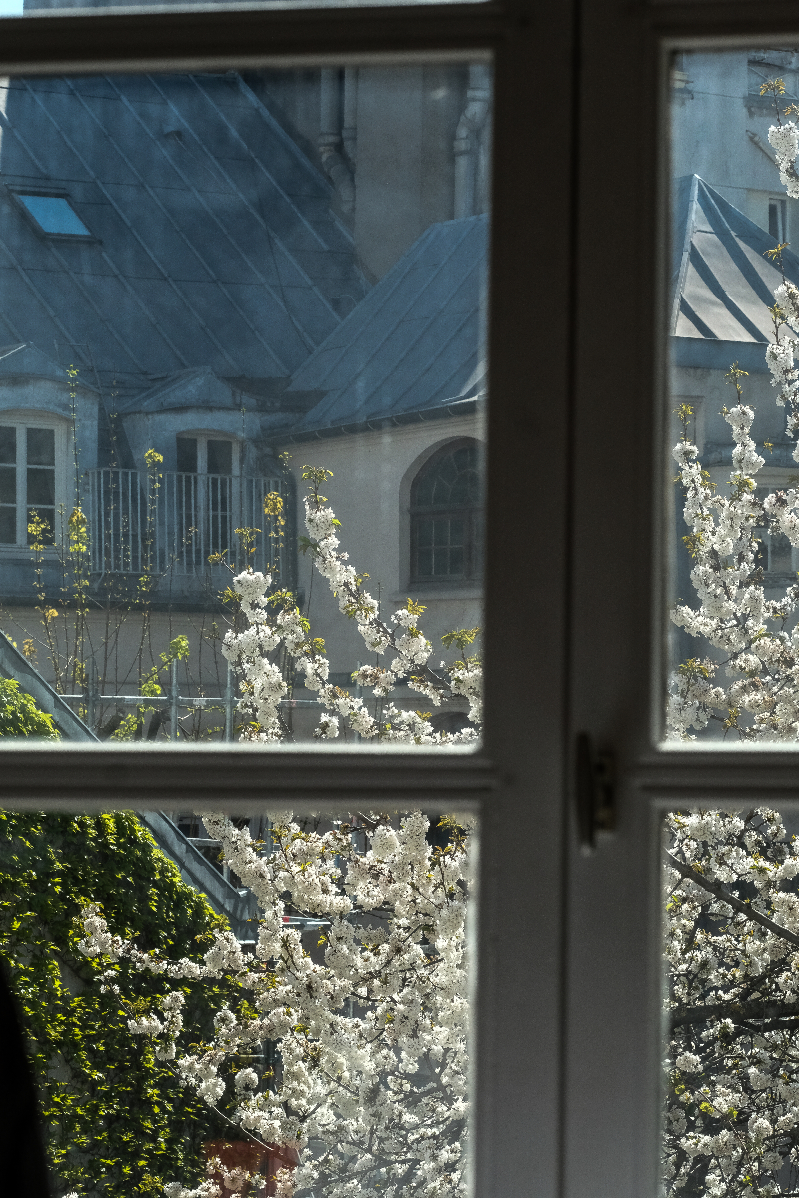 A haven of peace in the heart of the Marais