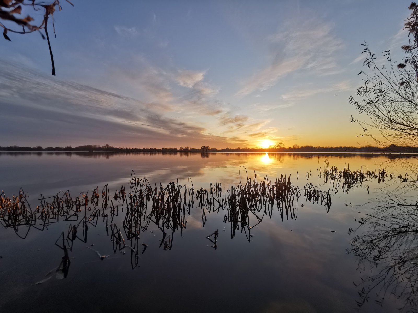 Il Reeuwijkse plassen. Una bellissima riserva naturale a 15 minuti in bicicletta. 5 km.