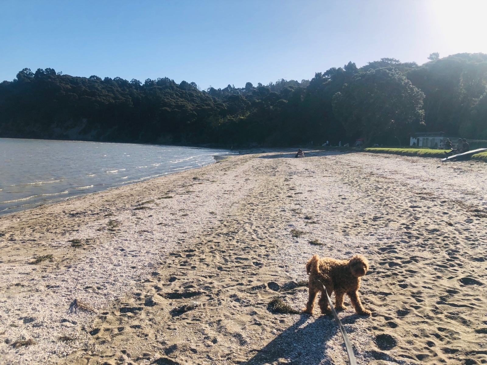 Armour Bay - 5 minute walk