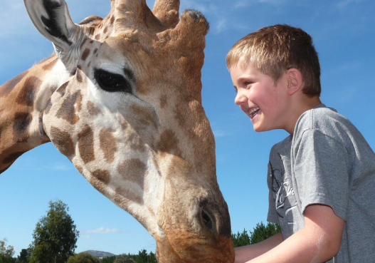 Zoo y Acuario Nacional (Derechos de autor, Vacaciones con niños)