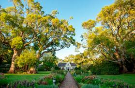 Vergelegen, a mere 7 km from our home, is one of the oldest wine farms in the country.