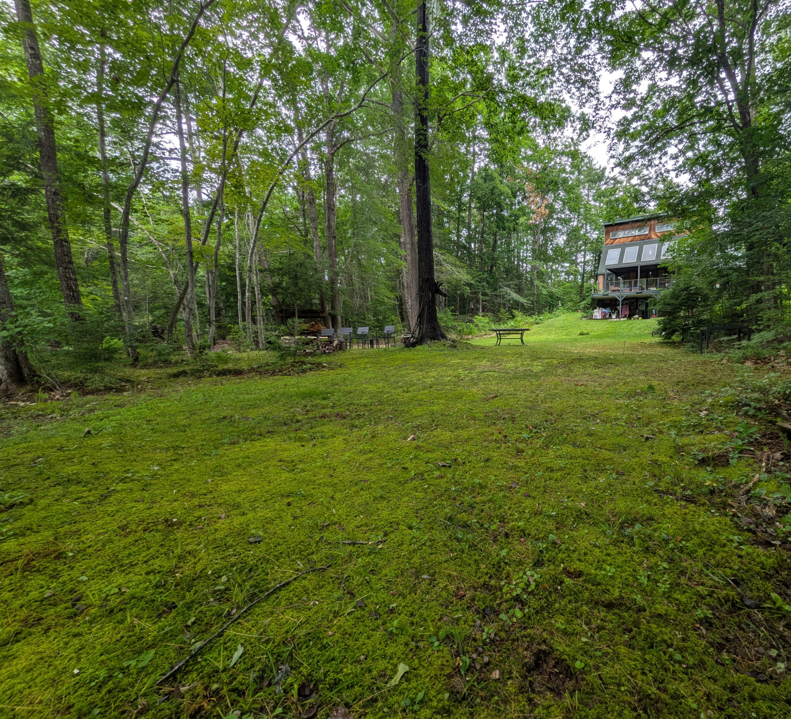 Estremità inferiore del cortile