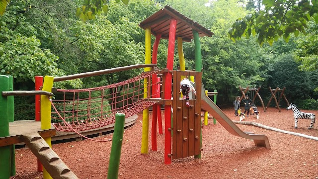 🌿 A pocos pasos de distancia, Parc Tenbosch es un refugio maravillosamente cuidado, como entrar en ...