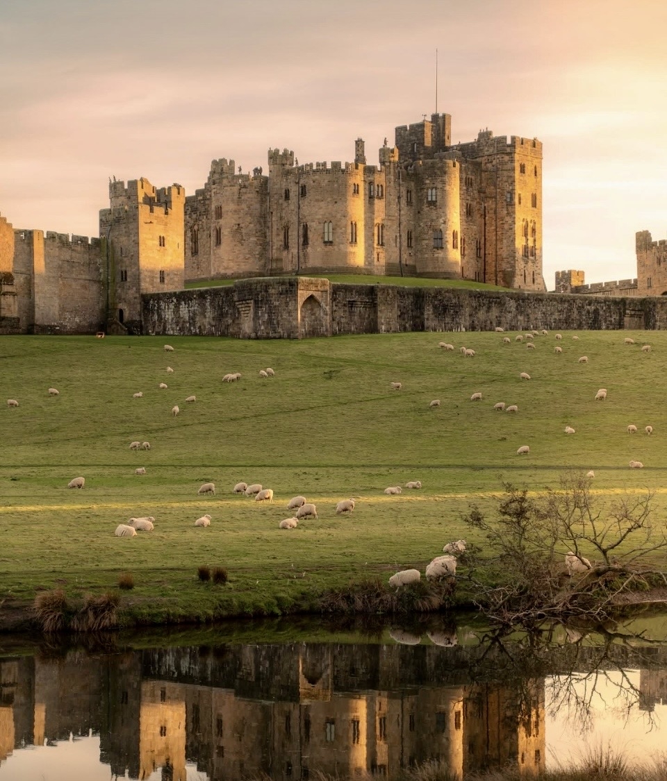 Alnwick Castle, famous for being used in the filming for Hogwarts in early Harry Potter films, a Poison Garden (guided tours only! ☠️) and a Treehouse restaurant. 20 mins from Amble