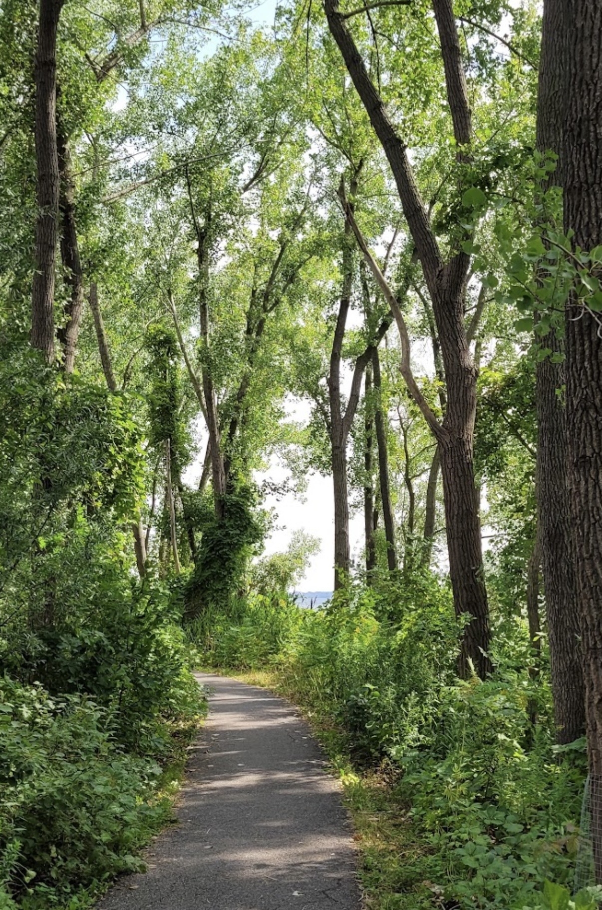 Montréal - Upscale residential oasis minutes from downtown Montreal