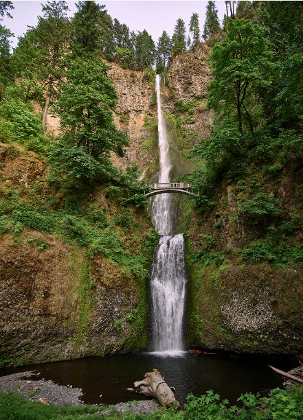 We are 40 minutes from Multnomah Falls