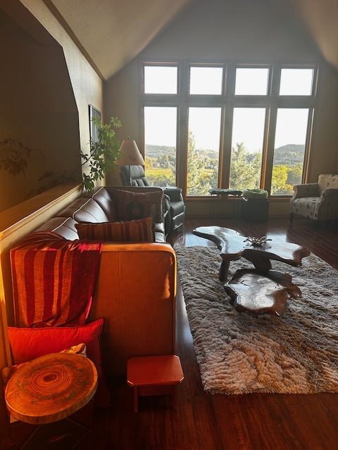 Living Room View