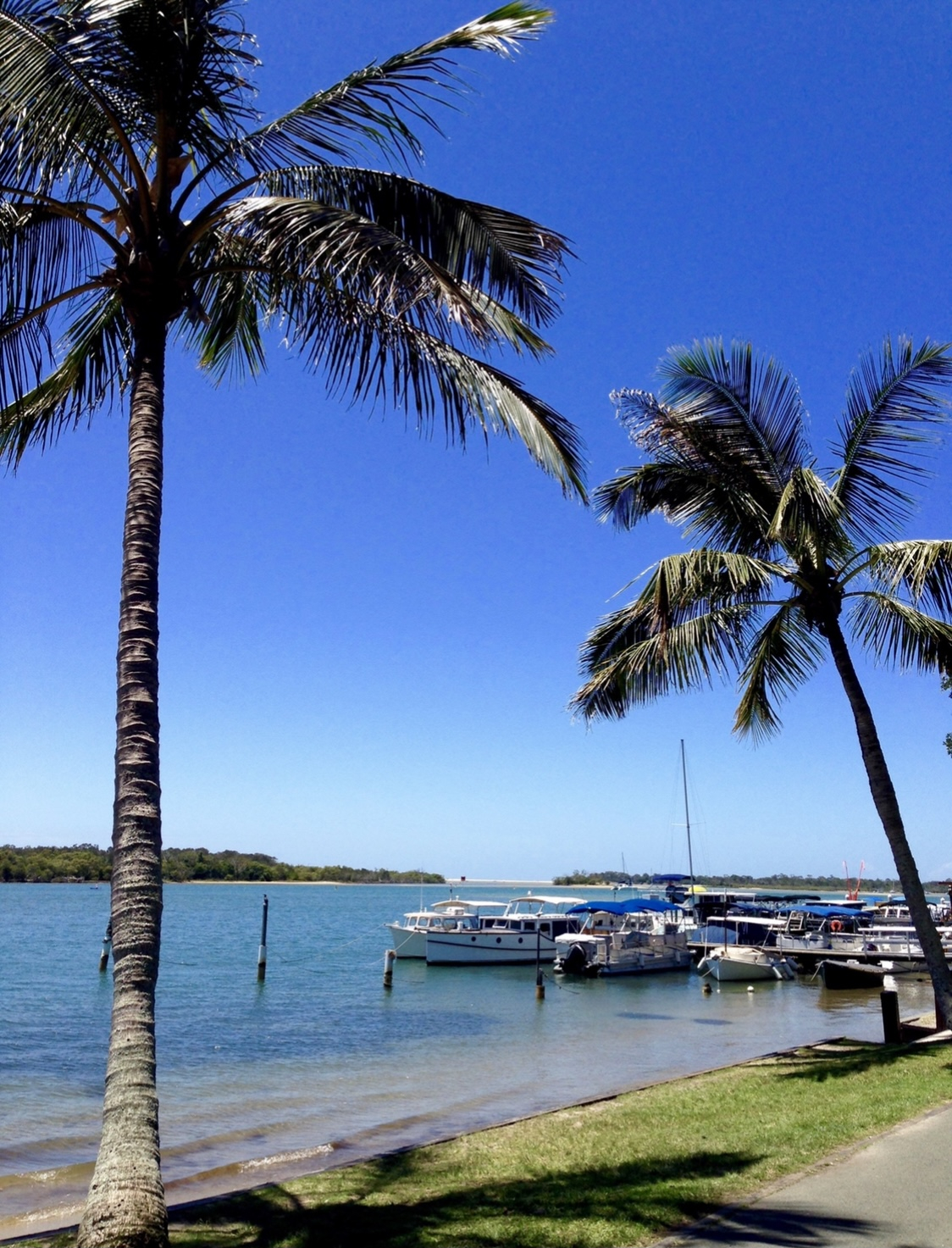 Walking track along the Noosa River