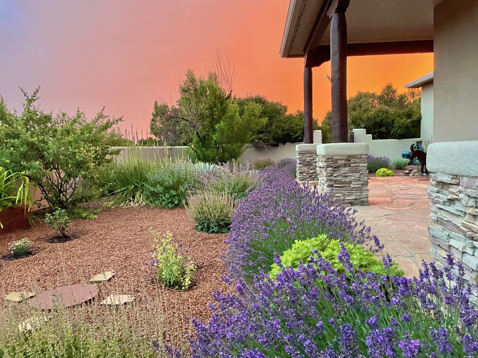 Lavender and monsoon sunset