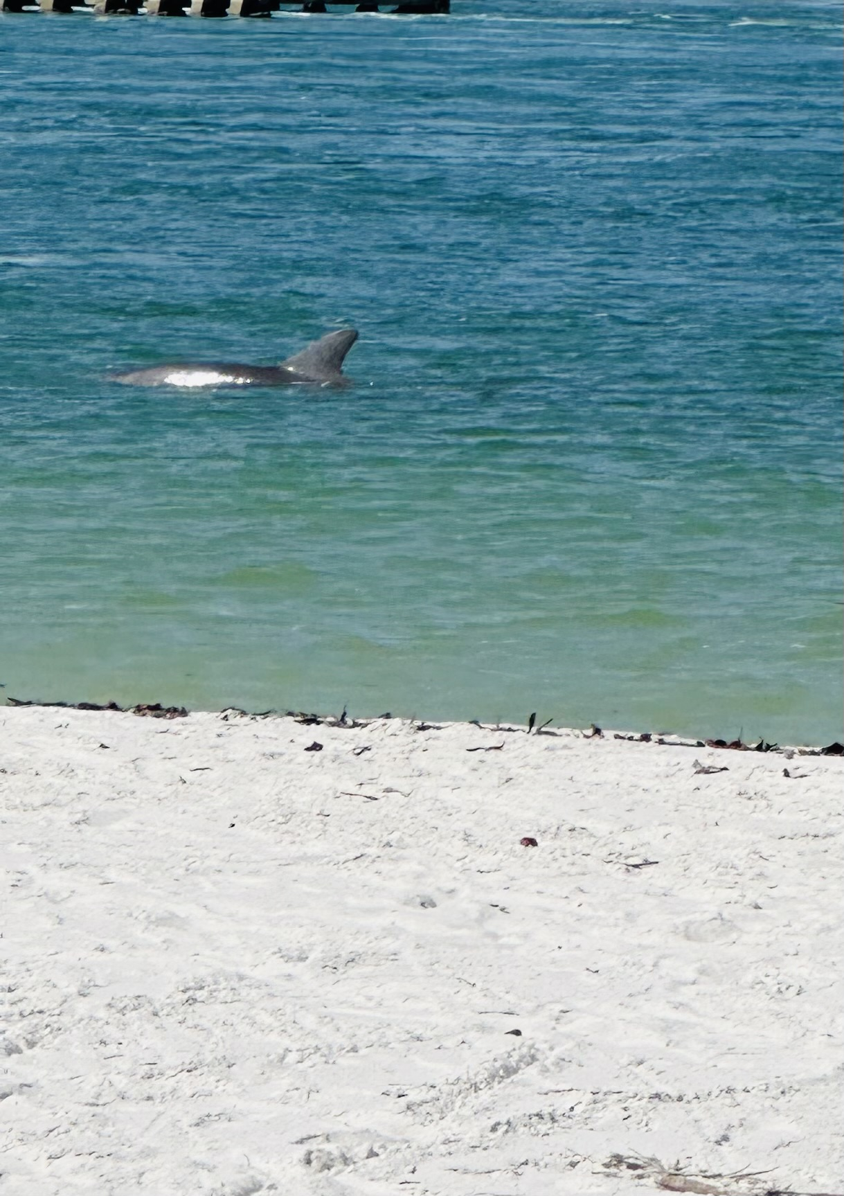 Appartement aan zee in Fort Myers Beach, Florida